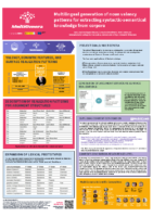 Póster Euralex 2018 Multilingual generation of noun valency patterns for extracting syntactic-semantical knowledge from corpora